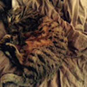 Meet your Posher, Tianna